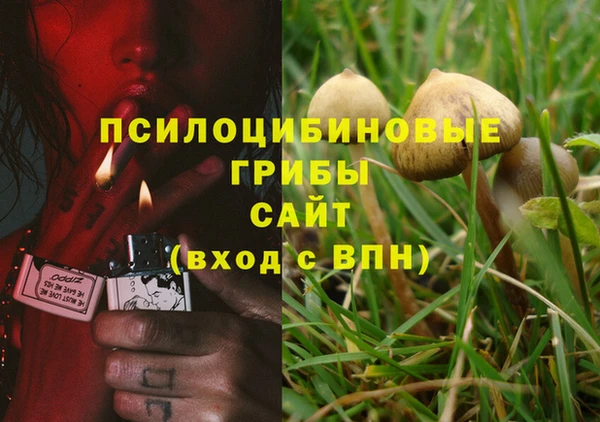 mix Горняк